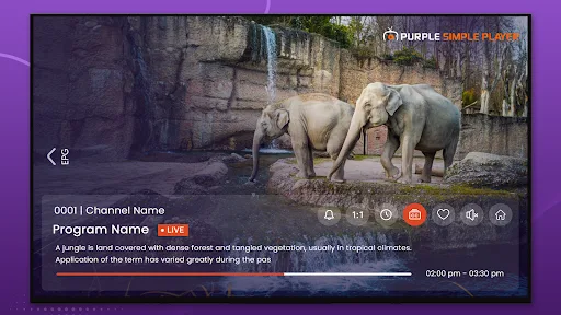 Purple Simple - IPTV Player screenshot 4