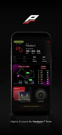Purple Sector: Formula Widgets screenshot 1