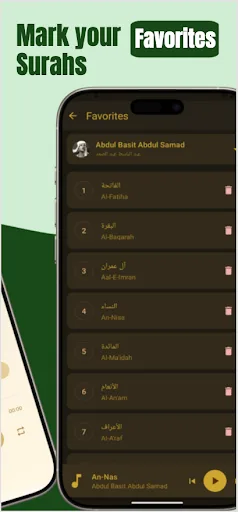 Abdul Basit Audio Quran screenshot 3