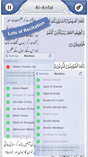 Quran Explorer screenshot 5