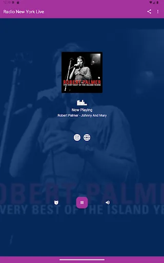 Radio New York Live screenshot 4