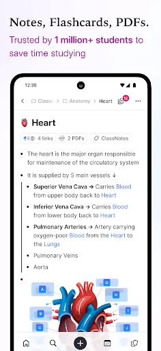 RemNote - Notes & Flashcards screenshot 1