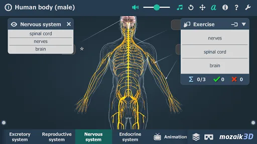 Human body (male) 3D scene screenshot 5