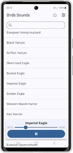 Birds Sounds screenshot 1