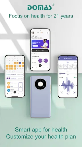 DOMAS screenshot 1