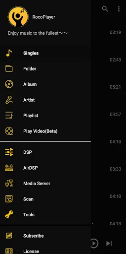 RocoPlayer V2 - Audiophile+DSP screenshot 1