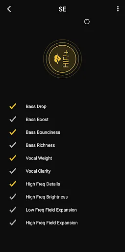 RocoPlayer V2 - Audiophile+DSP screenshot 3