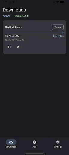DOWNitUP - Download Manager screenshot 1