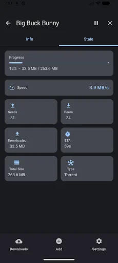 DOWNitUP - Download Manager screenshot 2