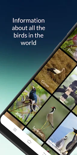 Birds information screenshot 2