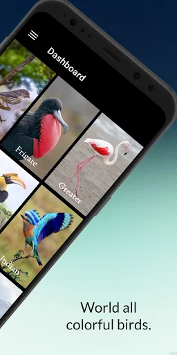 Birds information screenshot 3