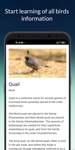Birds information screenshot 4