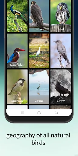 Birds information screenshot 5
