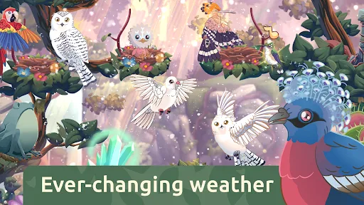 Bird Kind screenshot 4