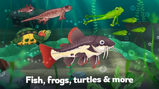 Pondlife — Relaxing Fish Game screenshot 2