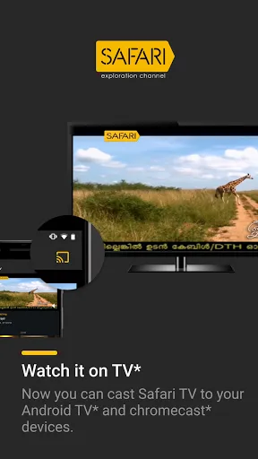 Safari TV screenshot 1