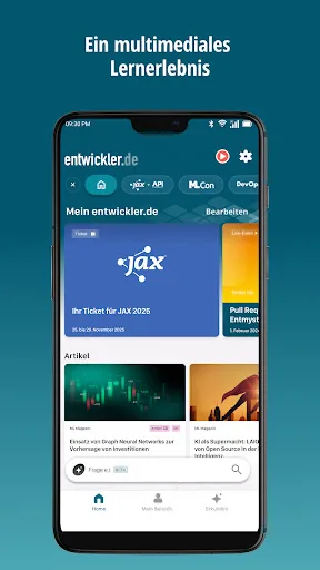 entwickler.de screenshot 2