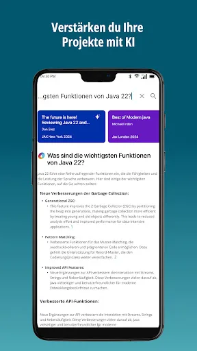 entwickler.de screenshot 3
