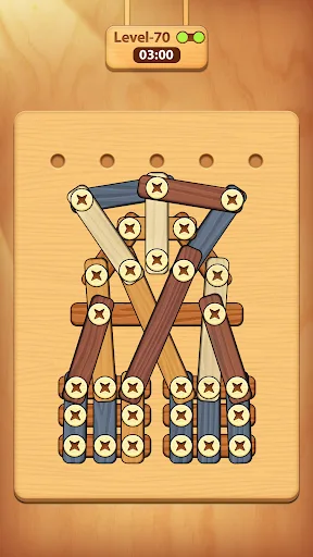 Screw, Nuts & Bolts Puzzle screenshot 5