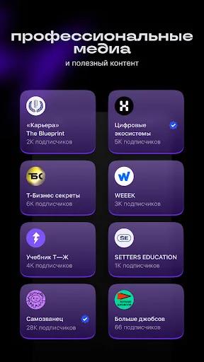 Setka — career social network screenshot 4
