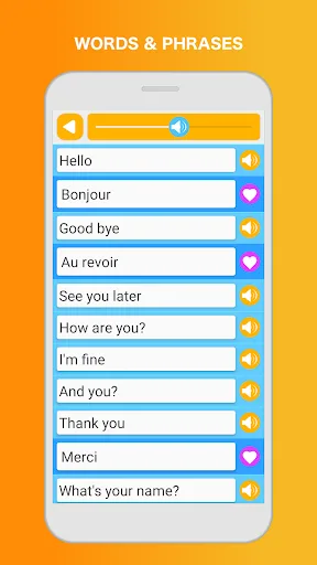 Learn French Language screenshot 3