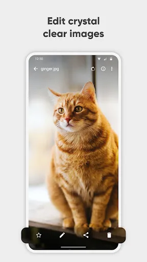 Simple Gallery Pro screenshot 5