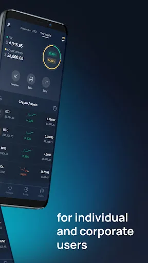 S-Wallet screenshot 2