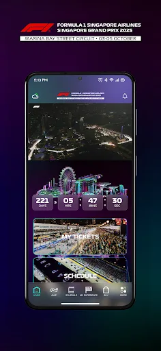 Singapore GP screenshot 1