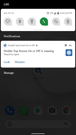 Double Tap Screen On or Off screenshot 4