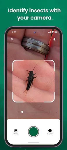 SnapHatch - Fly Fishing Guide screenshot 3