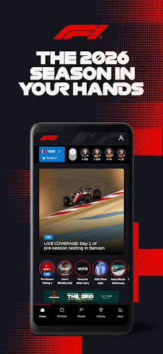 Formula 1® screenshot 1