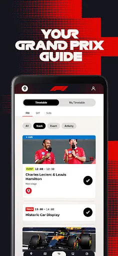 Formula 1® screenshot 3