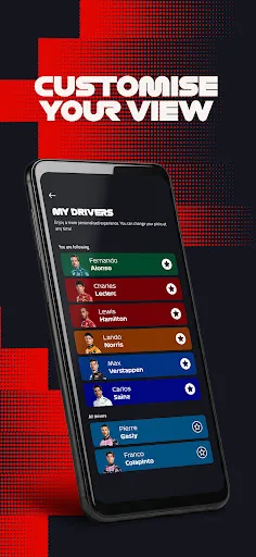 Formula 1® screenshot 4