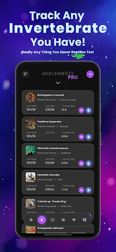 Arachnifiles: Pet Tracker screenshot 1