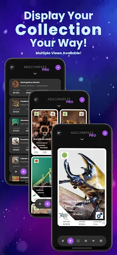 Arachnifiles: Pet Tracker screenshot 3