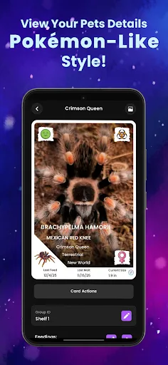 Arachnifiles: Pet Tracker screenshot 4