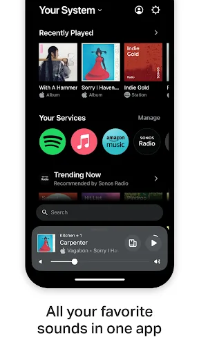 Sonos screenshot 2