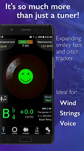 TonalEnergy Tuner & Metronome screenshot 1