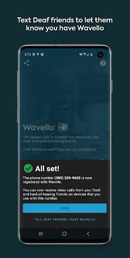 Sorenson Wavello screenshot 3