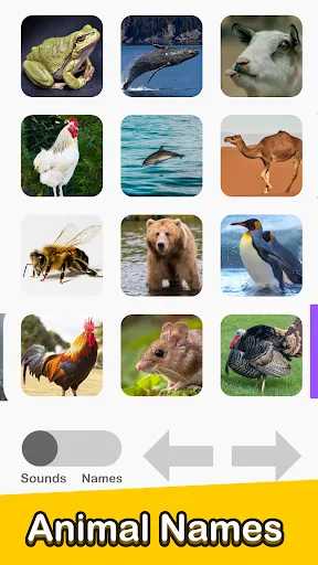 Animal Sounds - 100 Buttons! screenshot 2