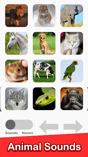 Animal Sounds - 100 Buttons! screenshot 5