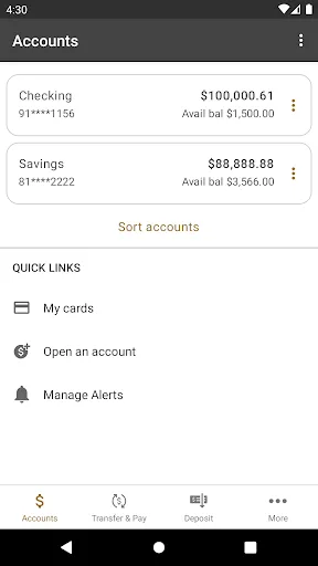 SouthStar Bank Mobile screenshot 3