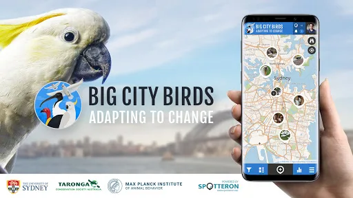 Big City Birds | SPOTTERON screenshot 1