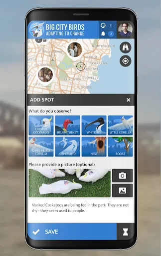 Big City Birds | SPOTTERON screenshot 2