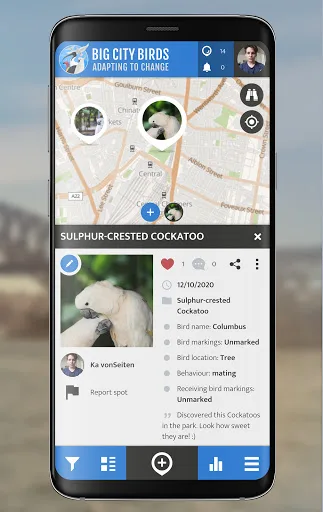Big City Birds | SPOTTERON screenshot 3