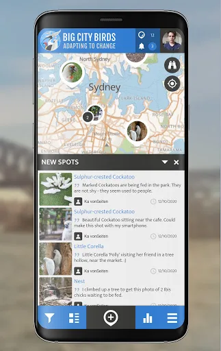 Big City Birds | SPOTTERON screenshot 4