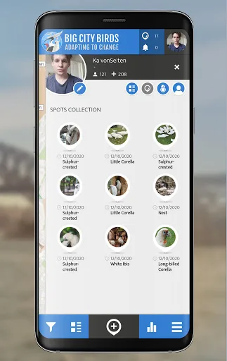 Big City Birds | SPOTTERON screenshot 5