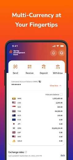 Spring Development Bank screenshot 2