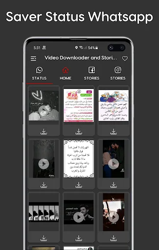 Video Downloader and Stories screenshot 4