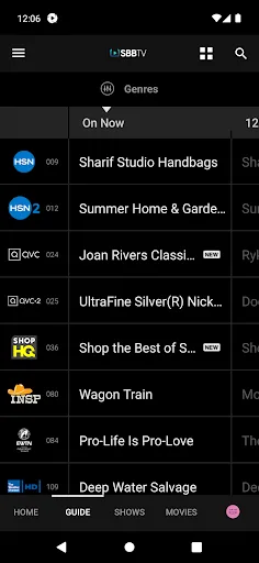 SBB TV screenshot 2